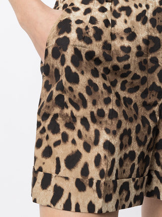 Dolce & Gabbana Shorts Brown