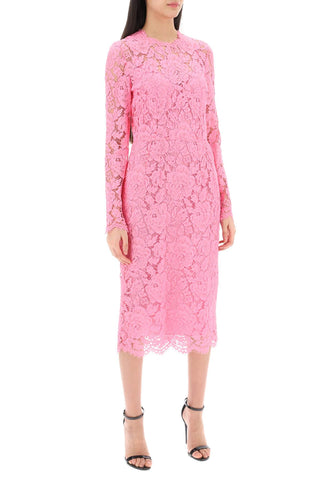 Dolce & Gabbana midi dress in floral cordonnet lace