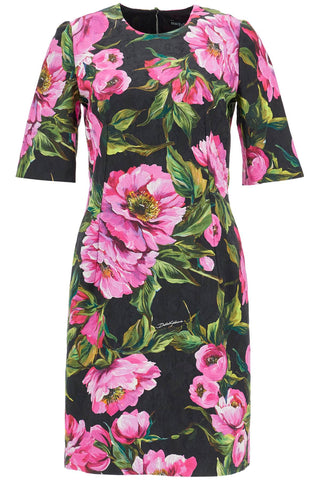 Dolce & Gabbana black floral cotton dress with peonies - VAZLUXE.COM